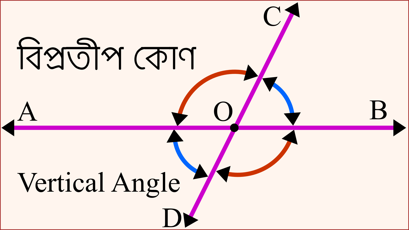 একটি বিপ্রতীপ কোণের চিত্র