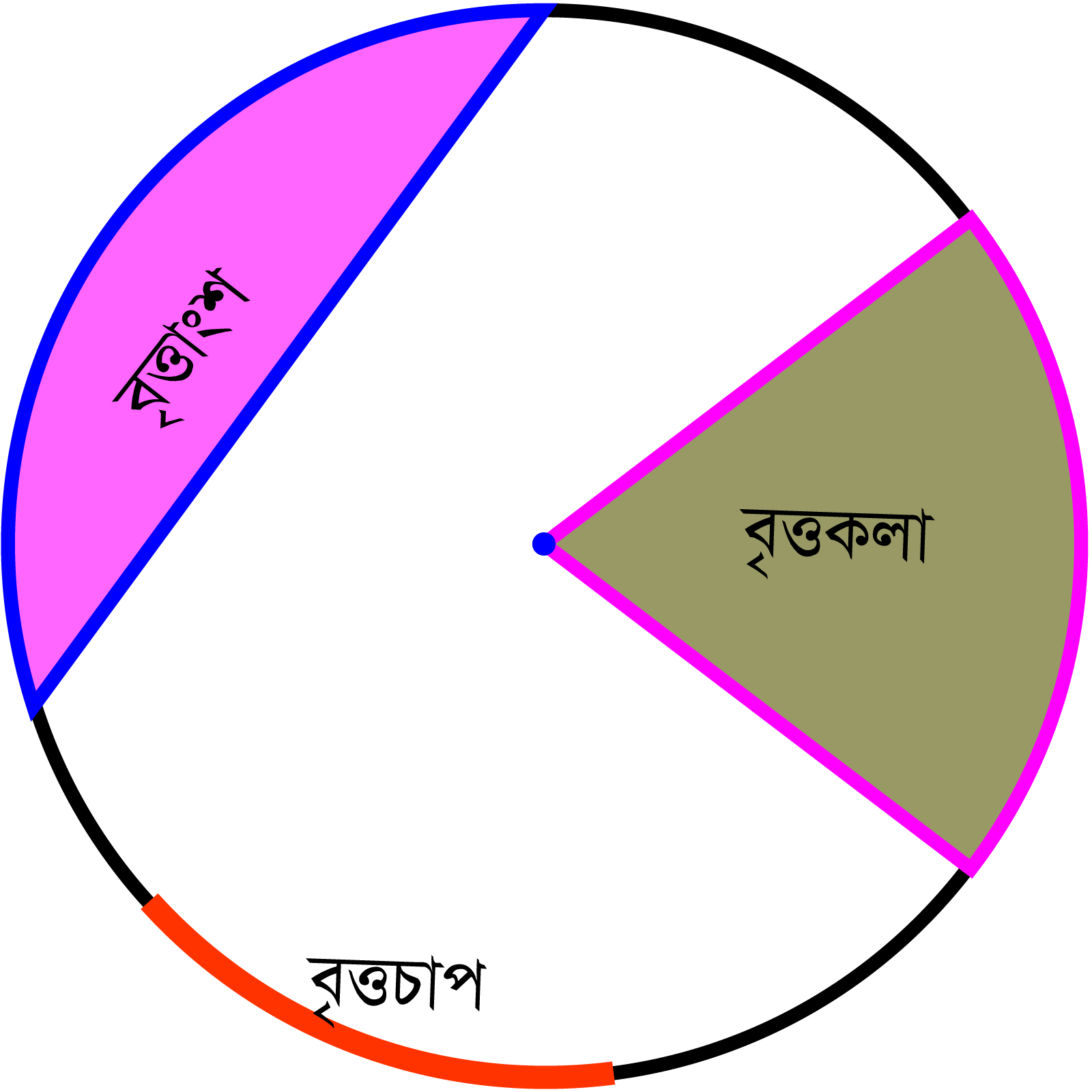 বৃত্তের বিভিন্ন অংশ ও অঞ্চল বিশিষ্ট বৃত্ত চিত্র