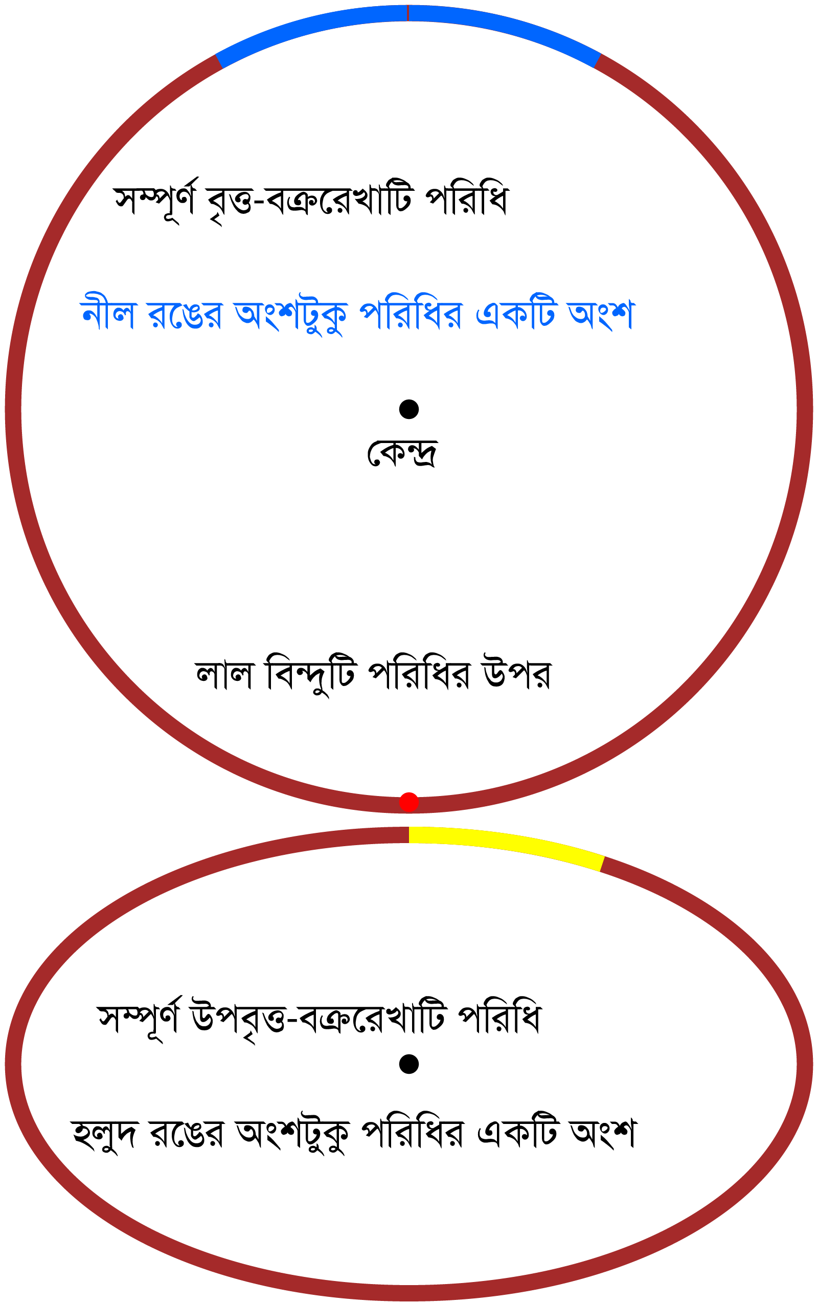 বৃত্ত ও উপবৃত্তের পরিধি বিশিষ্ট চিত্র