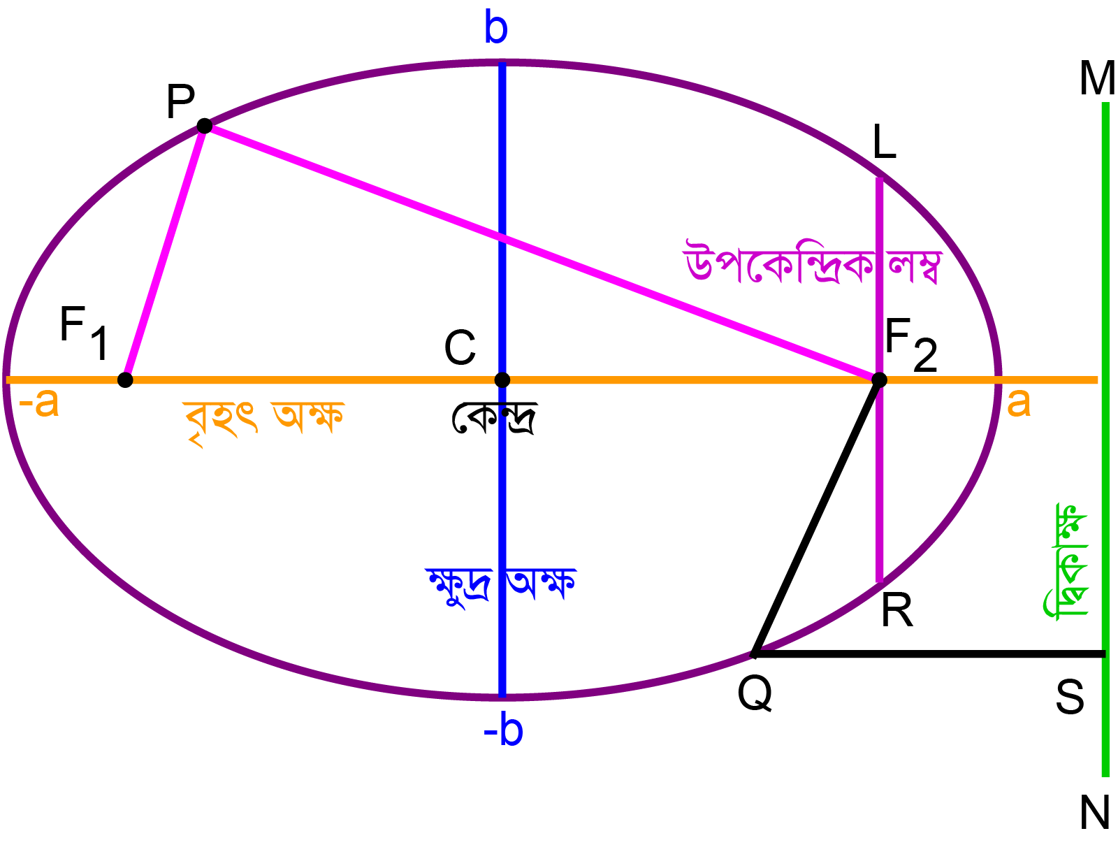 বিভিন্ন অংশ বিশিষ্ট উপবৃত্ত চিত্র