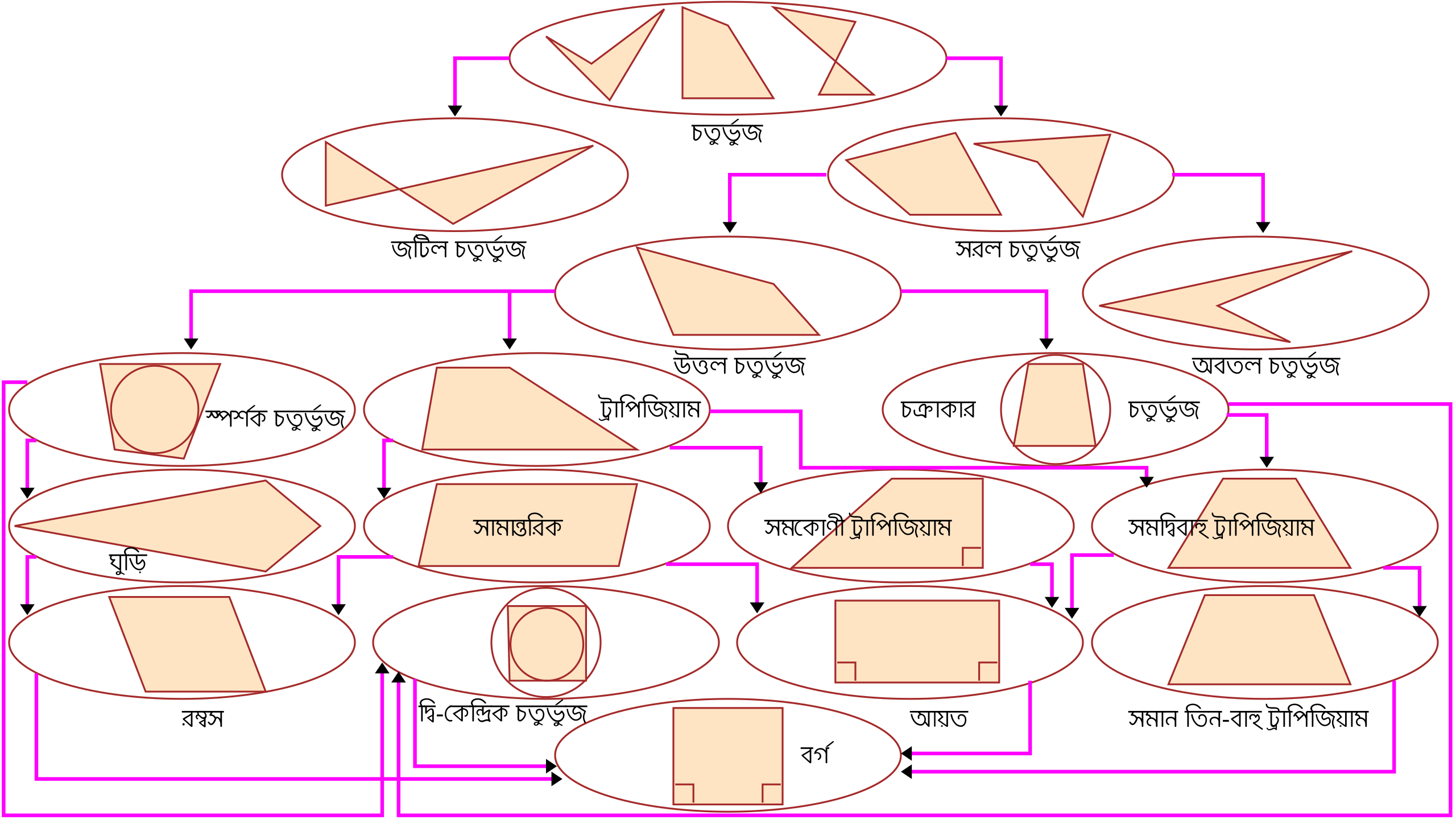 সর্ব প্রকার চতুর্ভুজ চিত্র